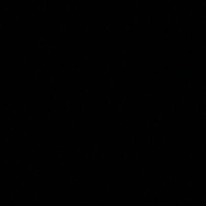 Meet your Posher, Jaden